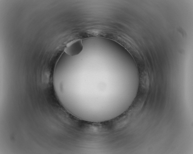 X0000113990420200910161651