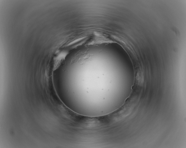 X0000113990424200910161651