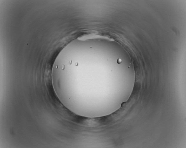 X0000113990425200910161651