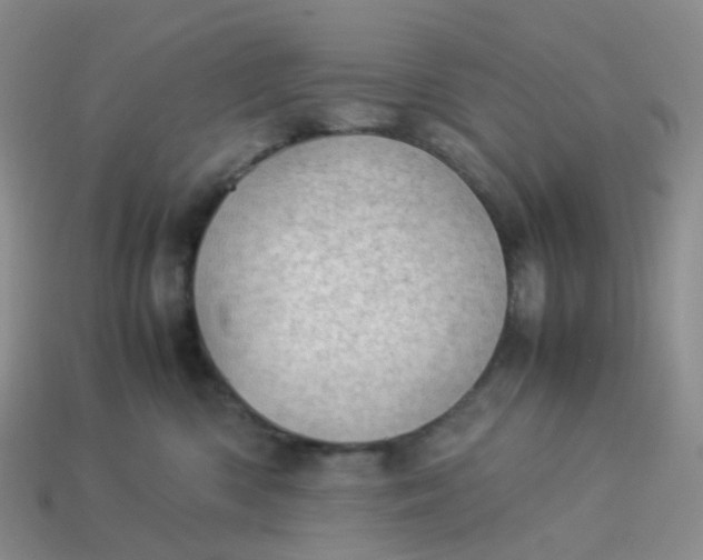 X0000113990426200910161651