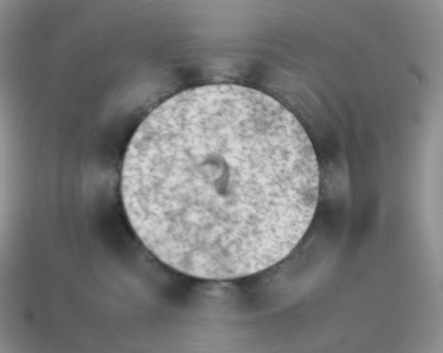 X0000113990427200910161651