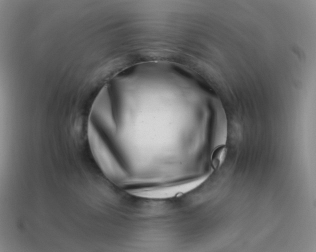 X0000113990428200910161651