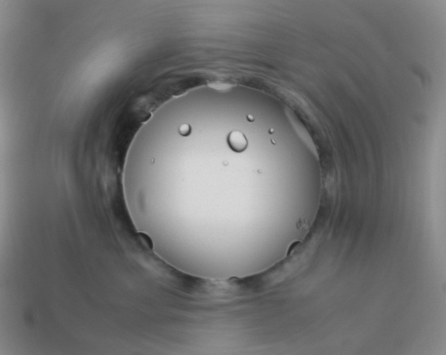 X0000113990429200910161651