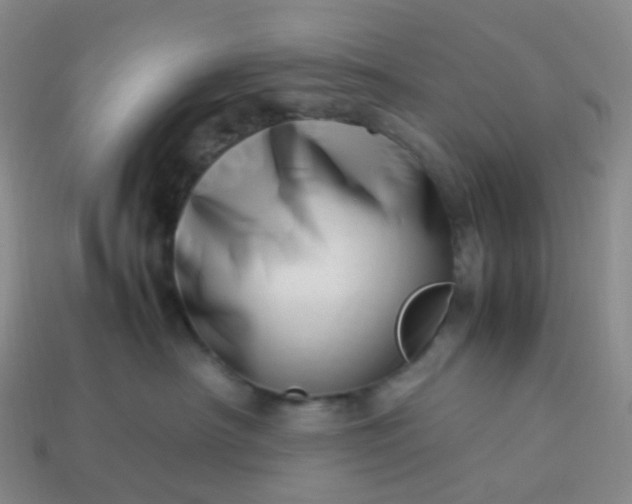 X0000113990430200910161651