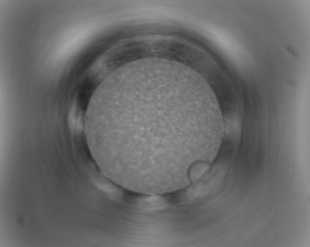 X0000113990431200910161651