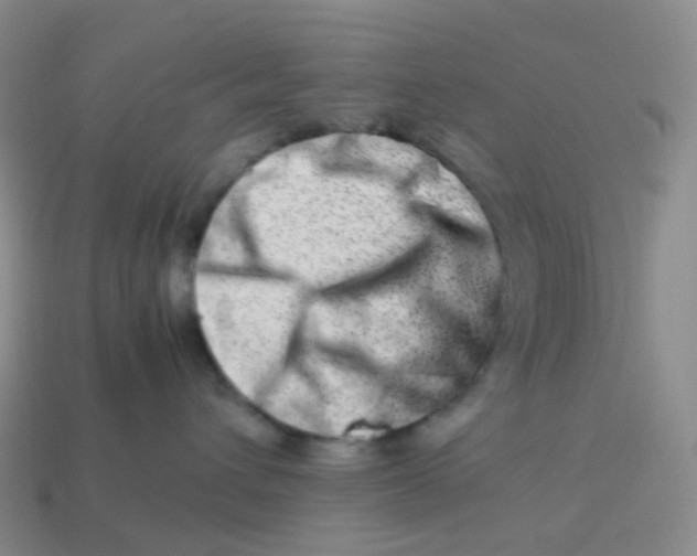 X0000113990432200910161651