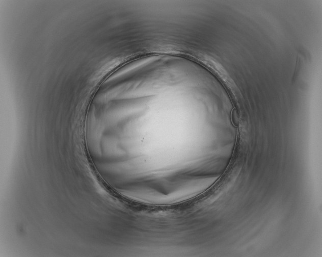 X0000113990433200910161650