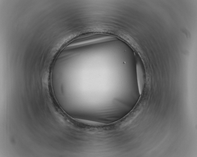 X0000113990434200910161650