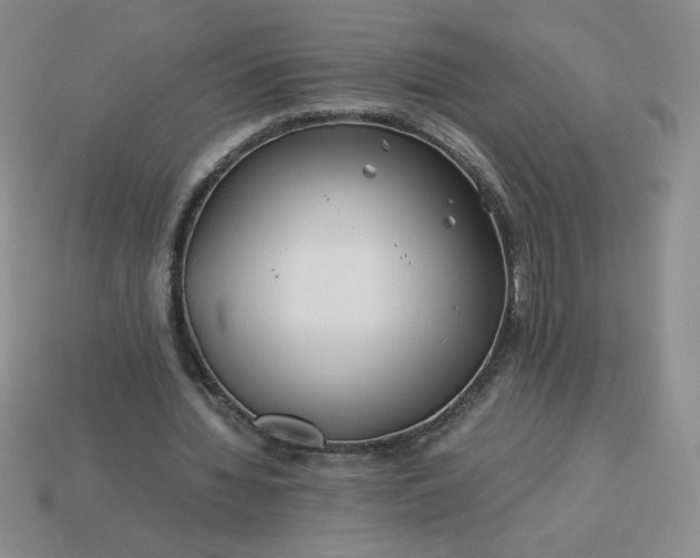 X0000113990436200910161650