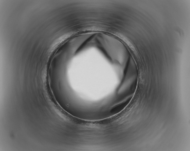 X0000113990437200910161650