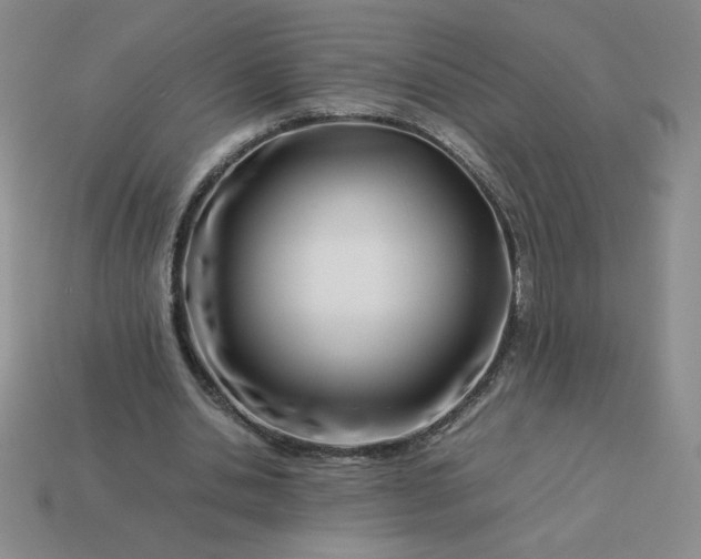 X0000113990438200910161650