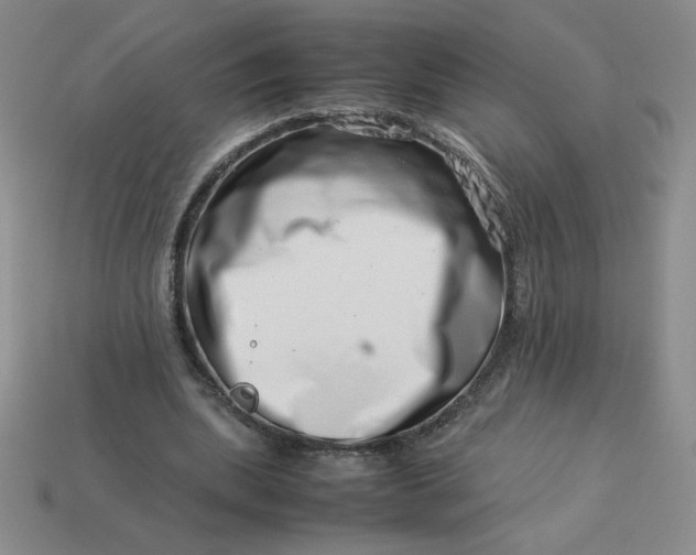 X0000113990439200910161650