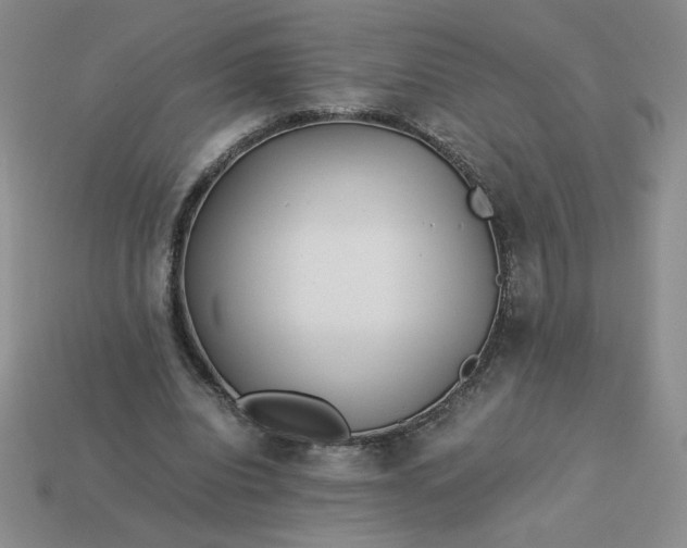 X0000113990440200910161650