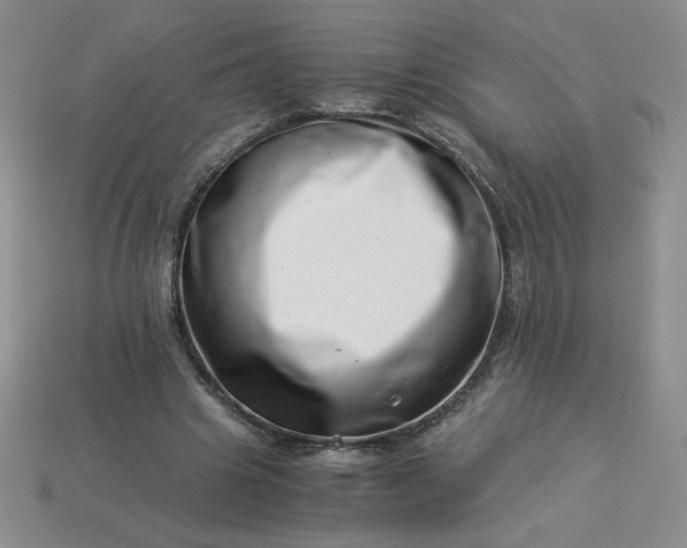 X0000113990441200910161650