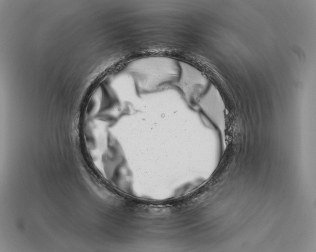 X0000113990443200910161650