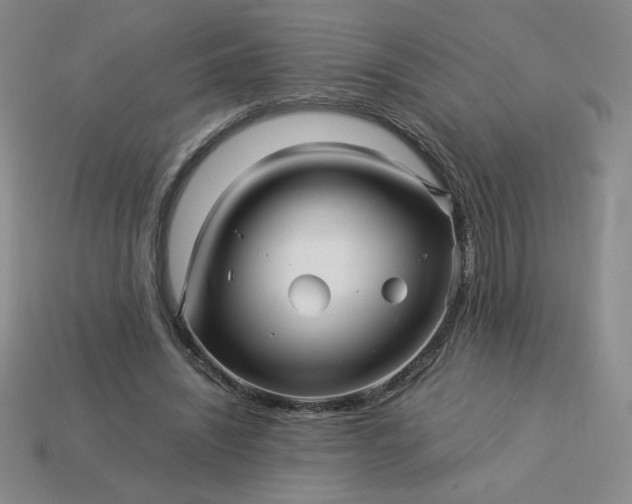 X0000113990444200910161650