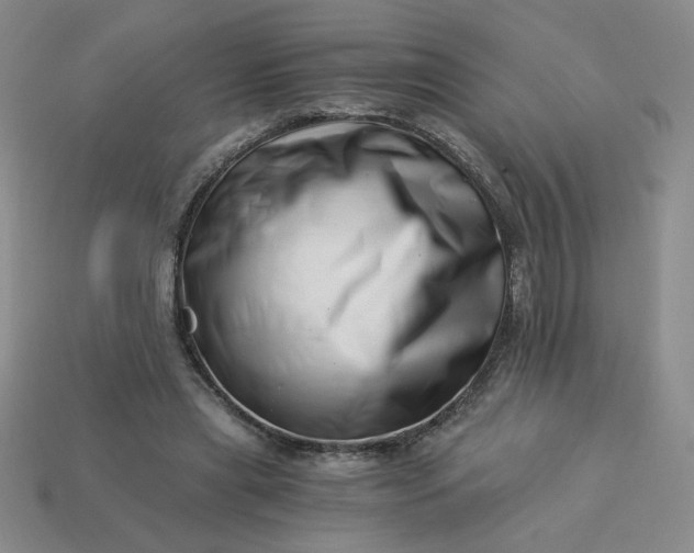 X0000113990445200910161650