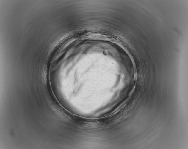 X0000113990446200910161650