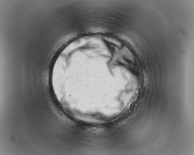 X0000113990447200910161650