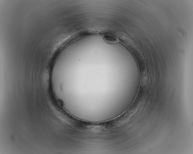 X0000113990448200910161650