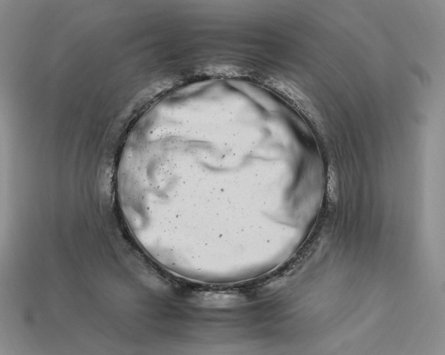 X0000113990449200910161650