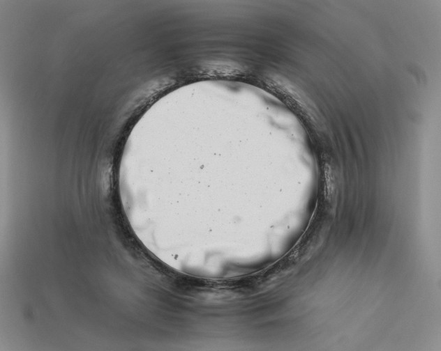 X0000113990451200910161650