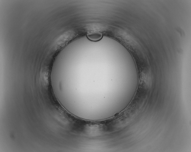 X0000113990452200910161650