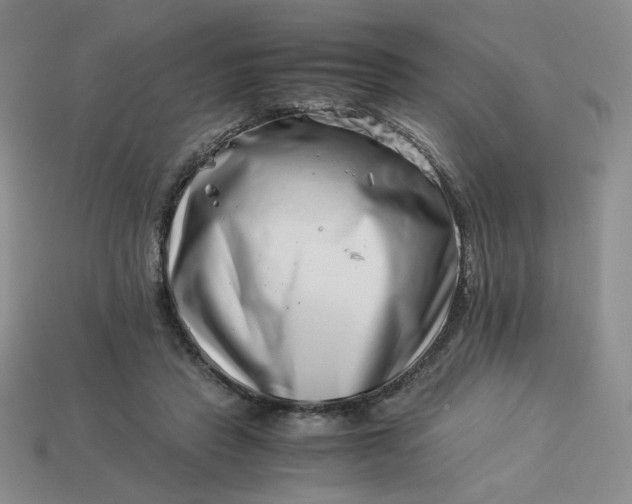 X0000113990453200910161650