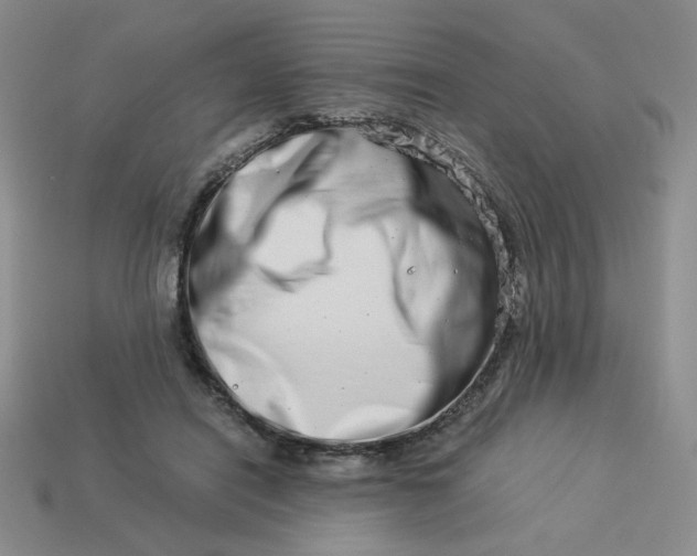 X0000113990454200910161650