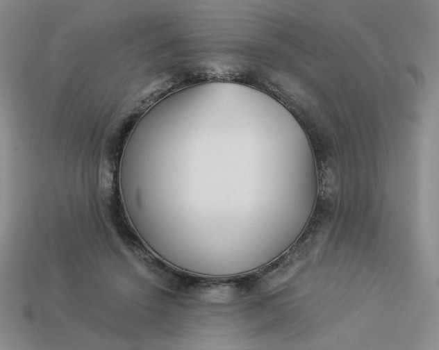 X0000113990456200910161651