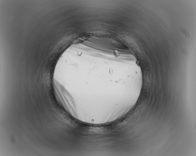 X0000113990457200910161651