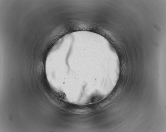 X0000113990459200910161651