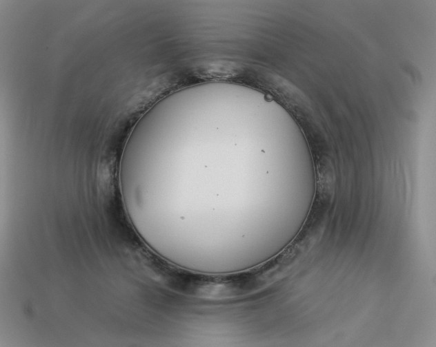 X0000113990460200910161651