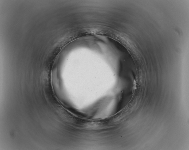 X0000113990461200910161651