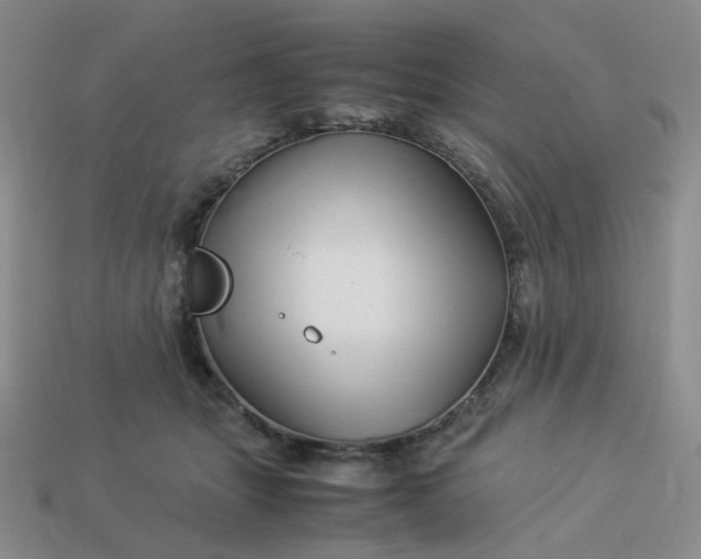 X0000113990463200910161651