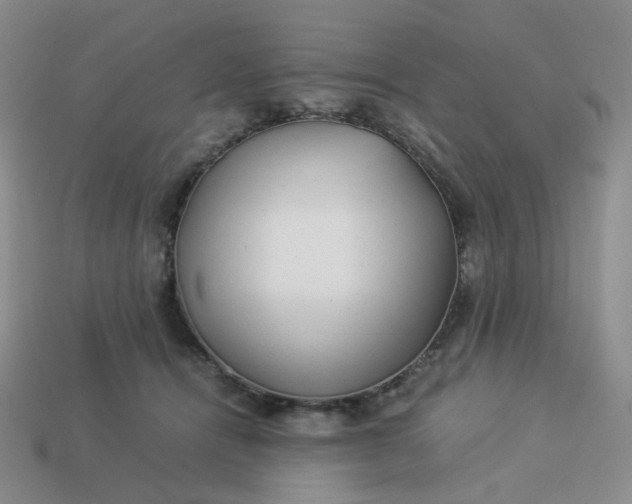 X0000113990464200910161651