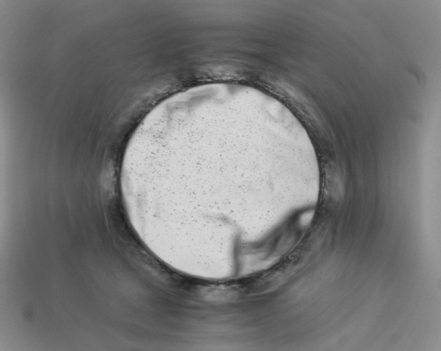 X0000113990465200910161651