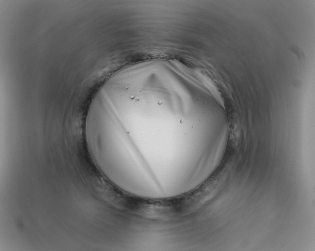 X0000113990466200910161651