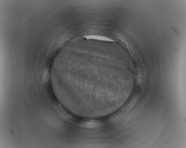 X0000113990467200910161651