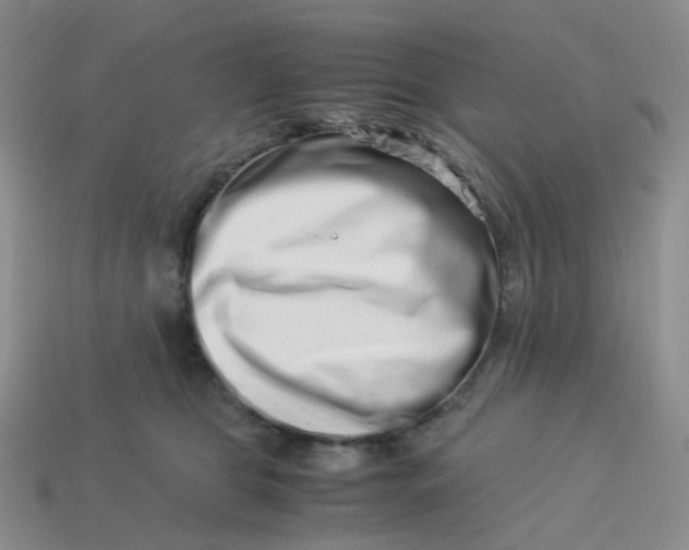 X0000113990469200910161651