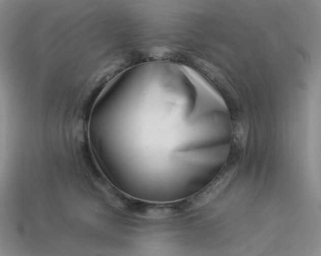 X0000113990470200910161651