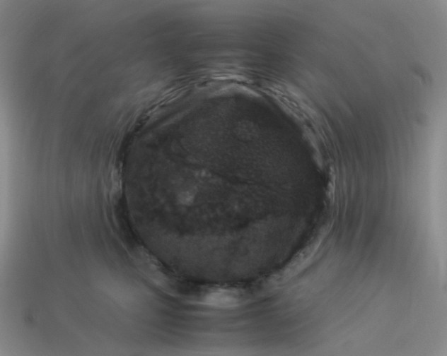 X0000113990471200910161651