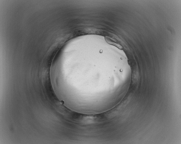 X0000113990473200910161651