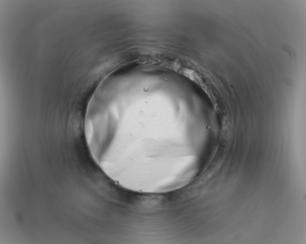 X0000113990474200910161651