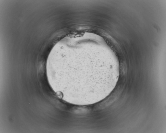 X0000113990475200910161651