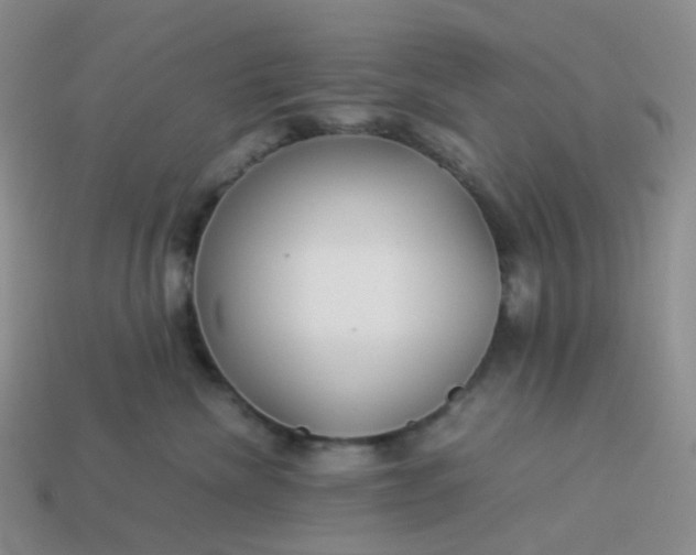 X0000113990476200910161651