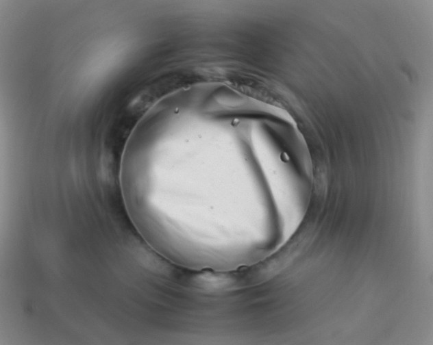 X0000113990477200910161651