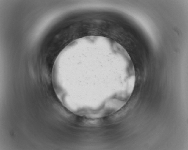 X0000113990479200910161651