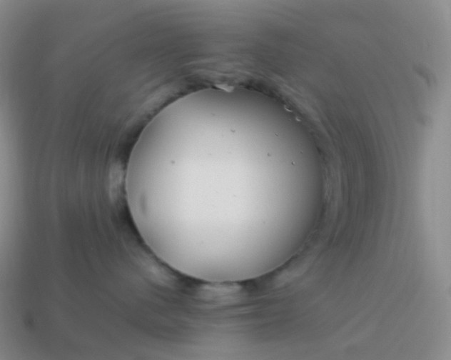 X0000113990480200910161651