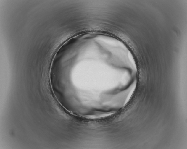 X0000113990481200910161650